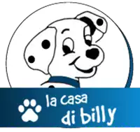 Logo La casa di Billy srl